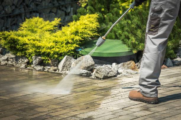 Best Solar Panel Cleaning  in Chester, MD
