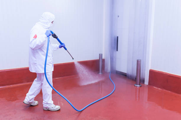 Best Roof Washing  in Chester, MD